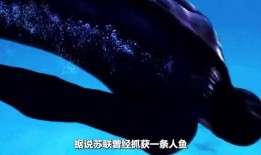 苏联科学家爆料人鱼视频,人鱼视频背后的惊人真相