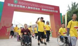 石家庄残疾人最新爆料,最新爆料揭示困境与呼声